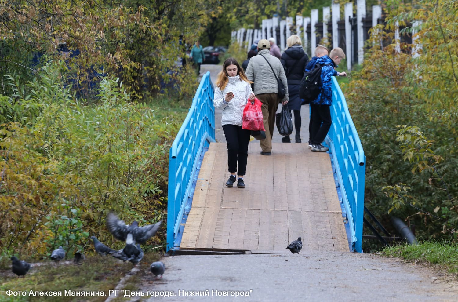 Отремонтированы два пешеходных моста через реку Левинка в Нижнем Новгороде  в октябре 2019