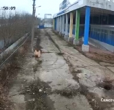 Ход строительства дома 1 в ЖК По ул. Маршала Жукова -