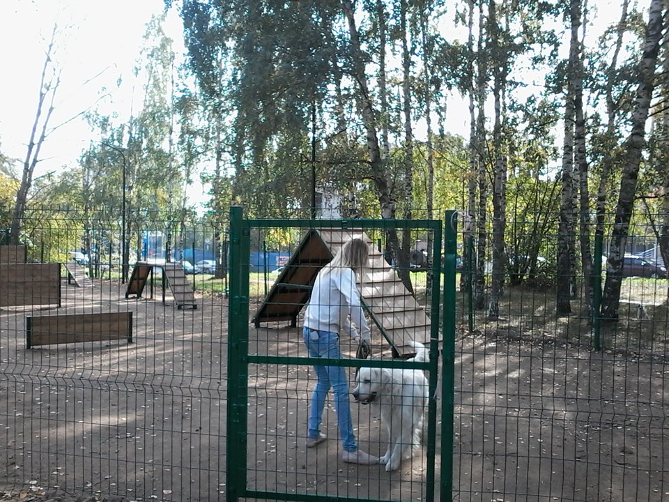 Детская площадка и зона для выгула собак открыты в нижегородском парке Пушкина - фото 2