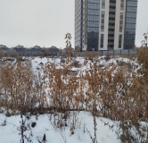 Ход строительства дома 4 в ЖК Расцветай на Зорге -