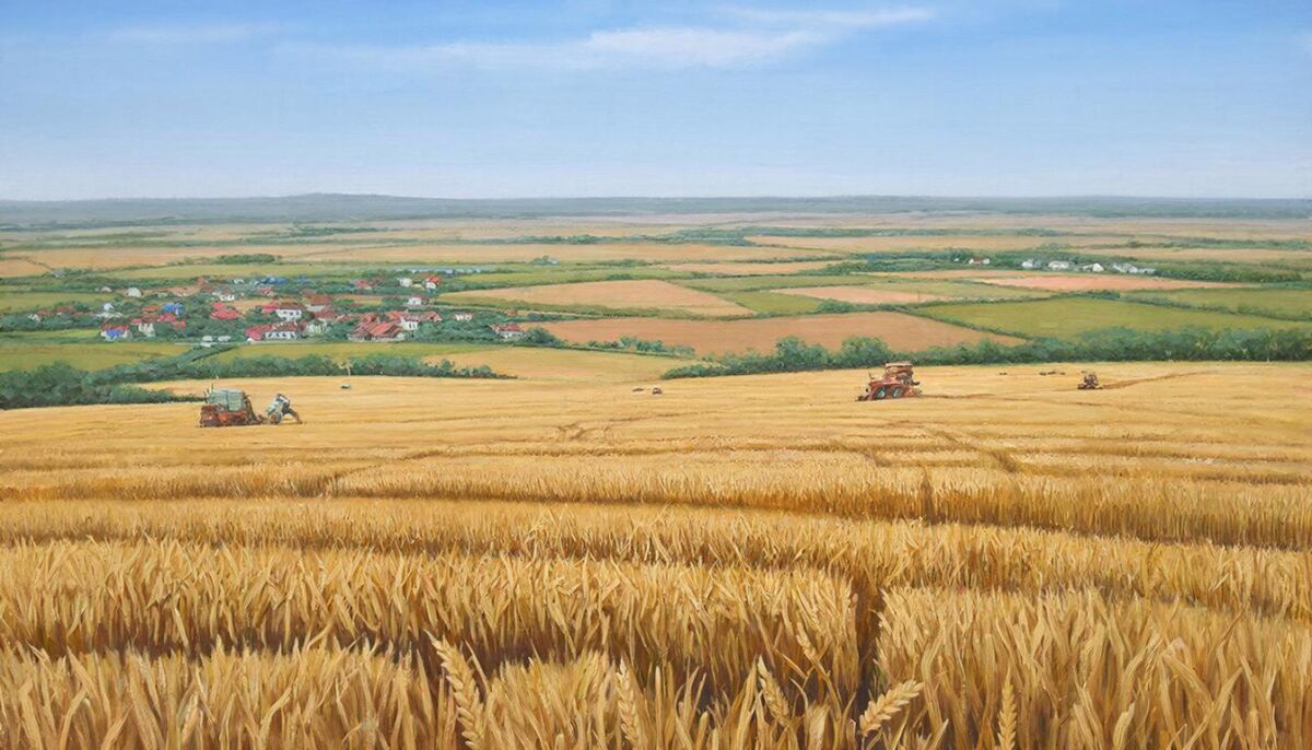 На Дону земли игорной зоны «Азов-Сити» оставят для сельхозназначения - фото 1