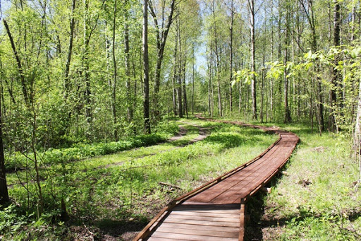 Пятикилометровая экотропа появилась в парке «Воскресенское Поветлужье» - фото 1