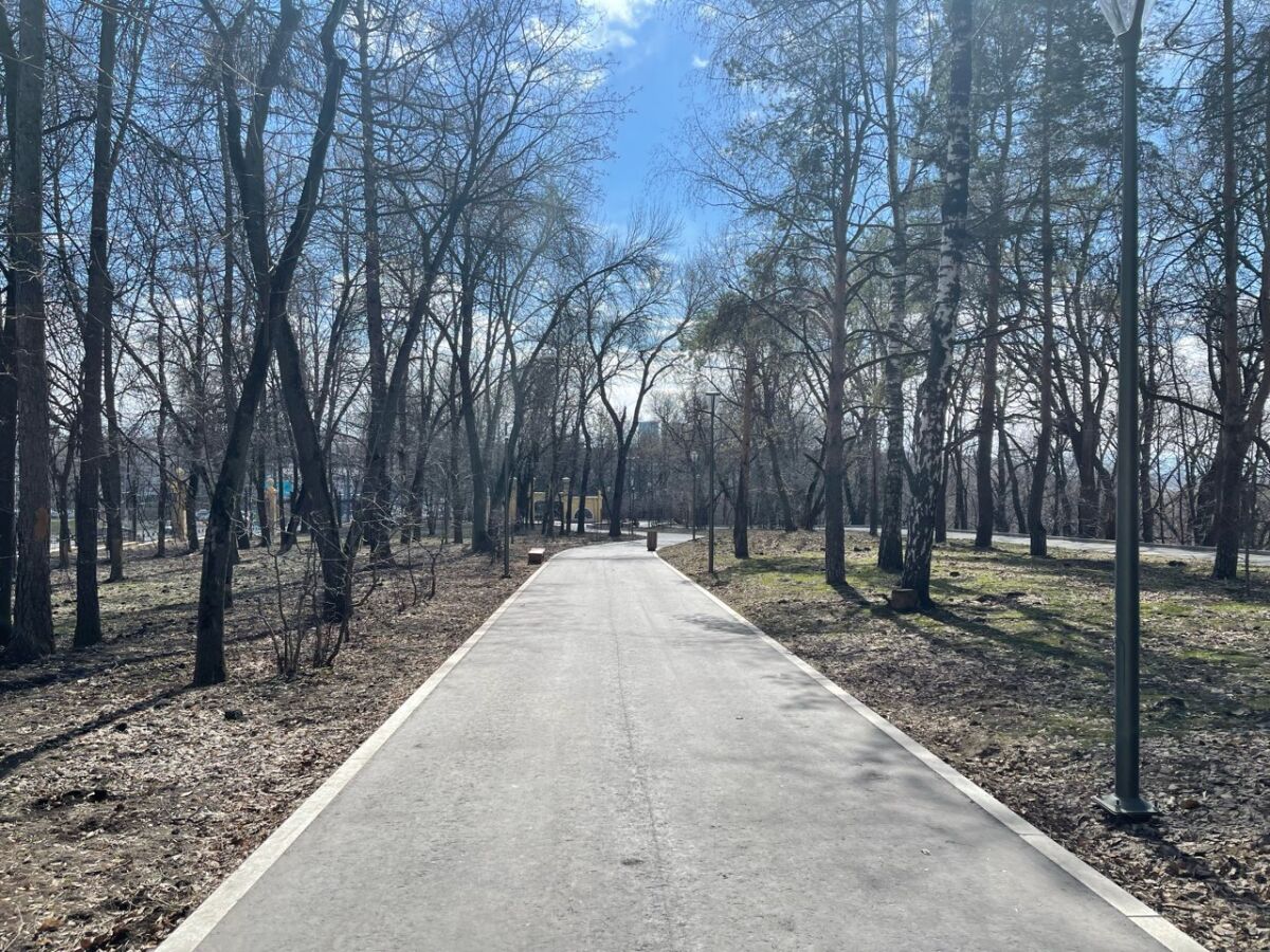 Парк «Швейцария» в Нижнем Новгороде закрыли на обработку от клещей 3 мая - фото 1
