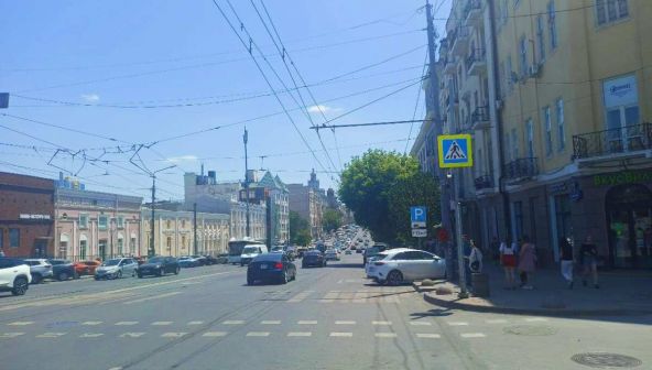 Хатламаджиян: Деревья — главный щит безопасности ростовчан