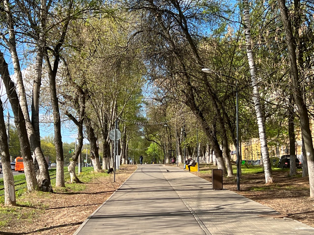 Дума Нижнего Новгорода пока не присвоила бульвару на Гагарина имени Жириновского - фото 1