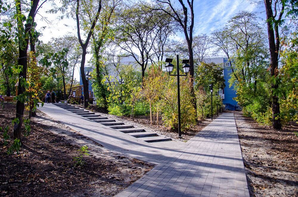 Проблемы благоустройства парков и замусоривания лесов обсудили в Ростове - Фото 1