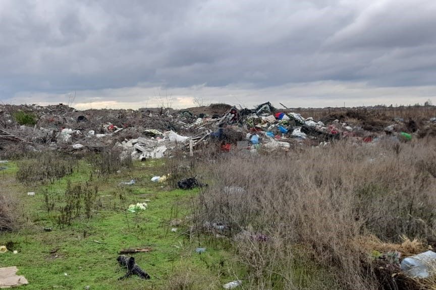 В Азове более трех месяцев не могли вывезти мусор с Аллеи героев - фото 1