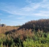 Ход строительства дома 11.2 в ЖК Форест -