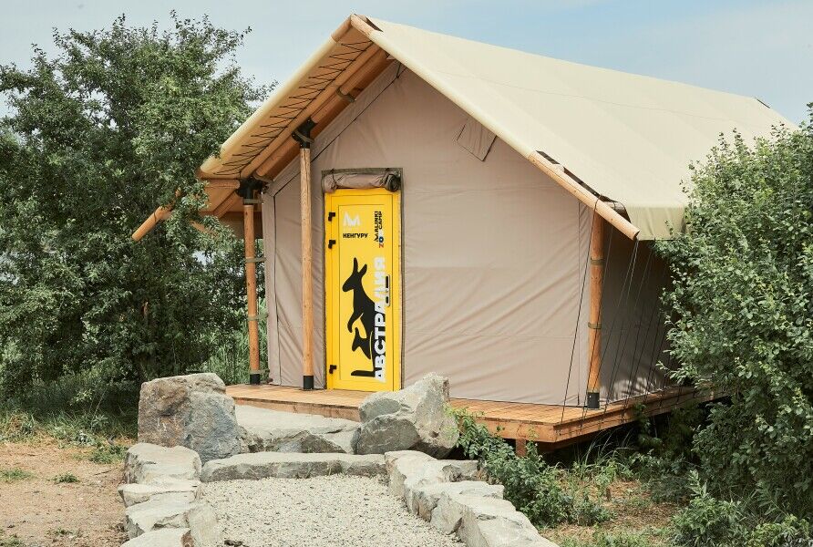 В Ростовской области появился первый в России глэмпинг с кенгуру и эму - фото 1