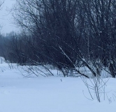 Ход строительства дома 3, секция 3.1 в ЖК Расцветай в Новолуговом -