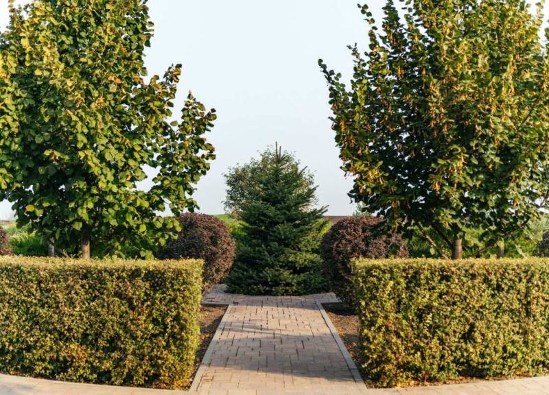 КП Ясная Поляна - фото 17