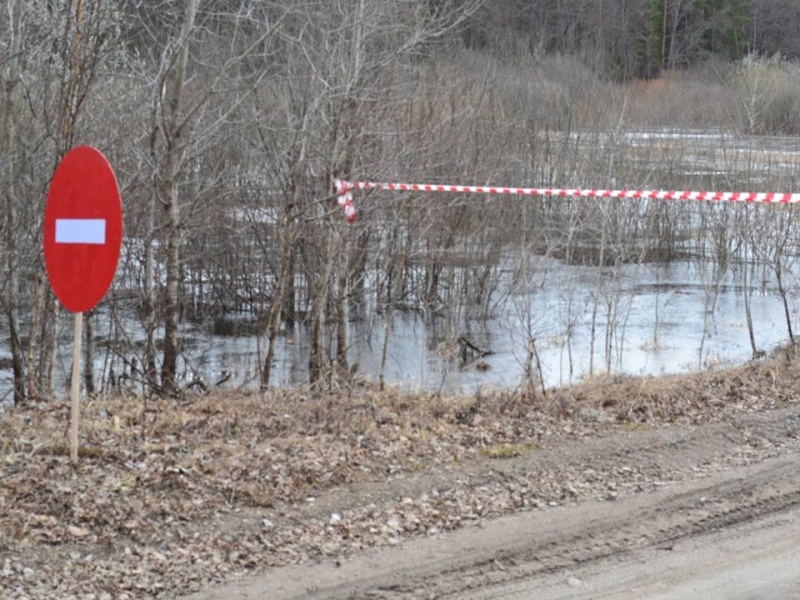 Лодочную переправу организуют в Воскресенском районе из-за затопления дороги - фото 1