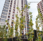 Ход строительства дома № 204, корпус 20 в ЖК Баланс -